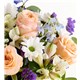 191300_alt1
